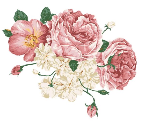 手绘风格花卉矢量素材