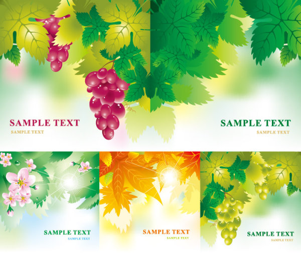 水果花朵树叶矢量素材