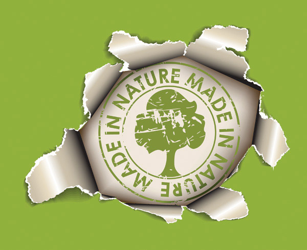 捅破的环保纸张矢量素材