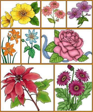 漂亮手绘花卉集 （PSD格式）