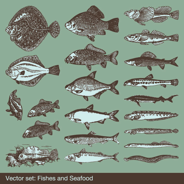 大鱼&mdash;矢量素材