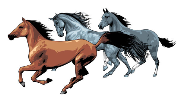 奔马04&mdash;&mdash;矢量素材