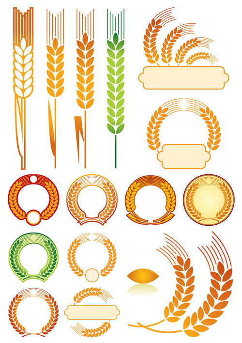 Wheat 01 - vector material