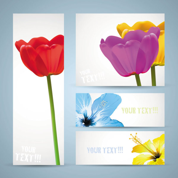 Flowers banner 02 - vector material