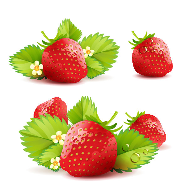 Strawberry theme background 05 - vector material
