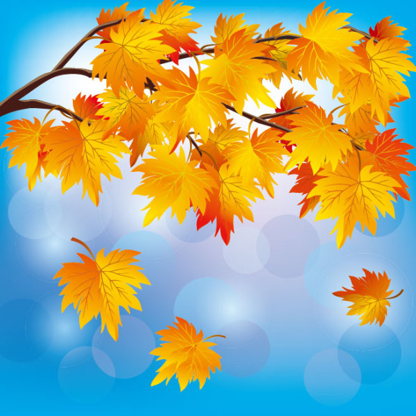 Beautiful autumn leaves background 05 - vector material