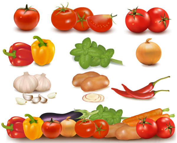 Vegetables image 01 - vector material