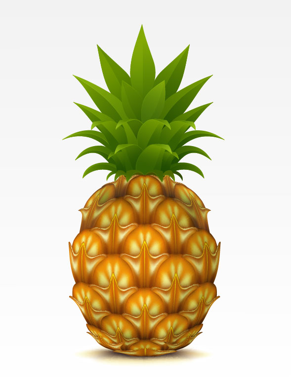 Fruit 01 - vector material