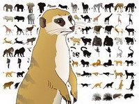 50 models of animals and silhouettes vector material