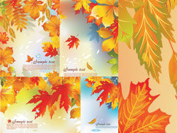 Vector autumn background material