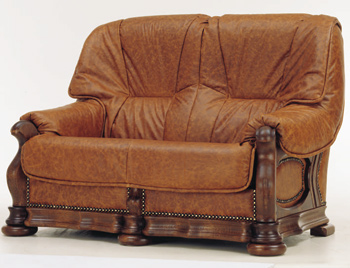 Modern brown double seats sofa