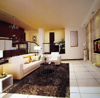 Modern black and white style minimalist living room