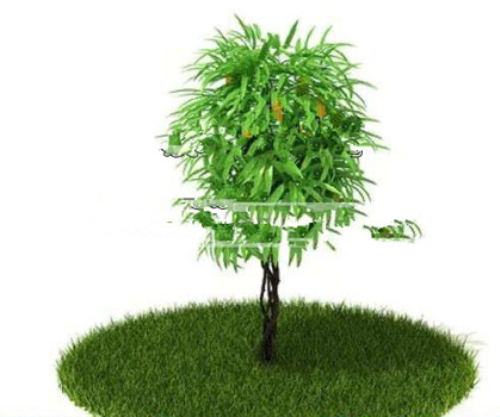 3d models of plants around the park