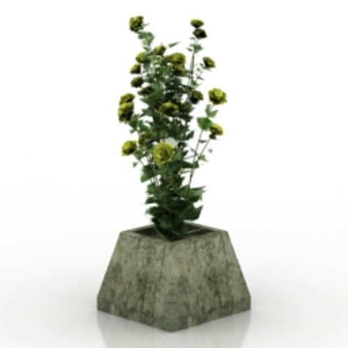 Wildflowers Bonsai 3d models