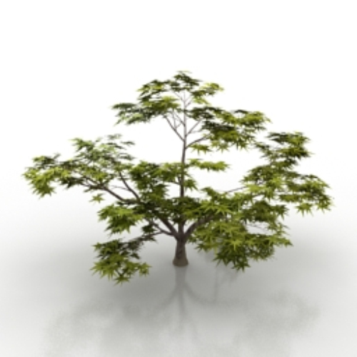 natural vegetation model