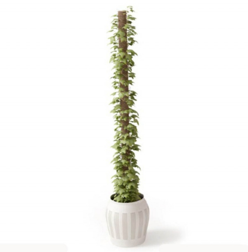 3D model design of indoor potted plant