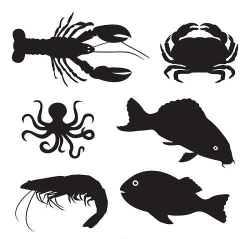 6 marine organisms silhouette vector material