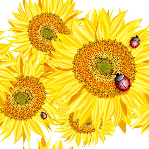 Beautiful sunflowers and ladybugs design vector material