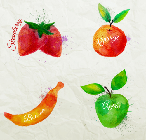 4 fruit design vector watercolor