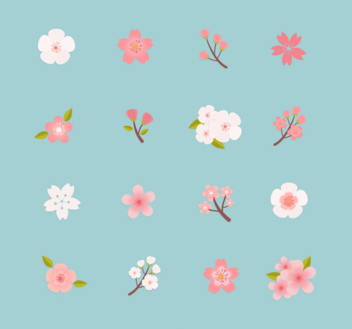 16 models beautiful cherry icon vector material