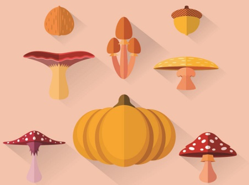 8 autumn fruit design vector